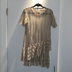 Zara sheer mesh ruffle dress S